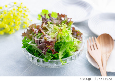 新鮮な葉物野菜のサラダ 新鮮な葉物野菜のサラダ 126375928