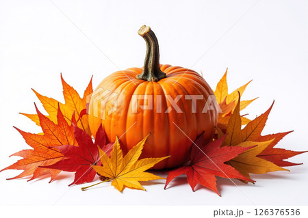 Pumpkin with autumn leaves. 126376536