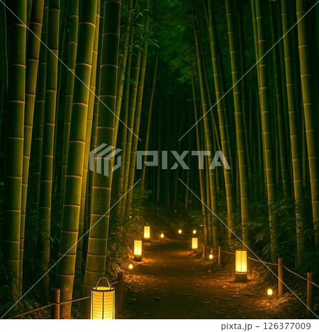 夜の竹林に置かれた幻想的な光 夜の竹林に置かれた幻想的な光 126377009