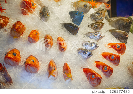 魚 魚類 サカナ 126377486