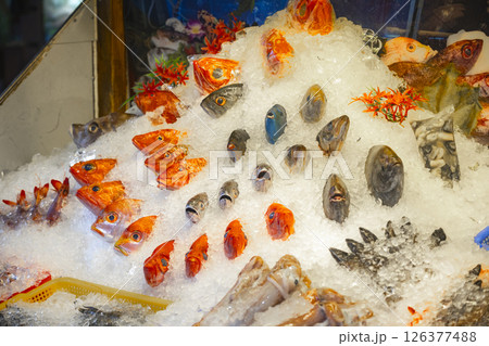 魚 魚類 サカナ 126377488