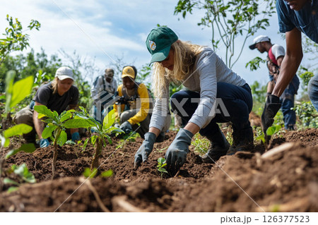 Multinational team of volunteers planting trees and working on a reforestation project for environmental conservation. Generated image Multinational team of volunteers planting trees and working on a reforestation project for environmental conservation. Generated image 126377523