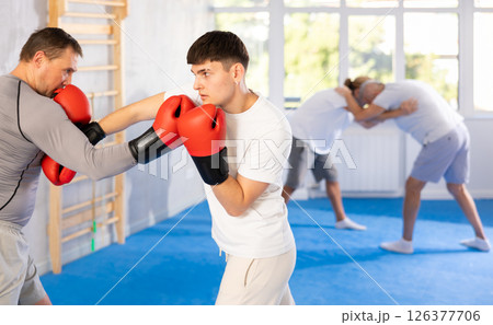 Portrait of defferent ages active sportsmen competing in boxing gloves Portrait of defferent ages active sportsmen competing in boxing gloves 126377706