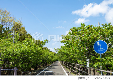 爽やかな夏の青空と自転車と歩行者専用遊歩道　 126378405