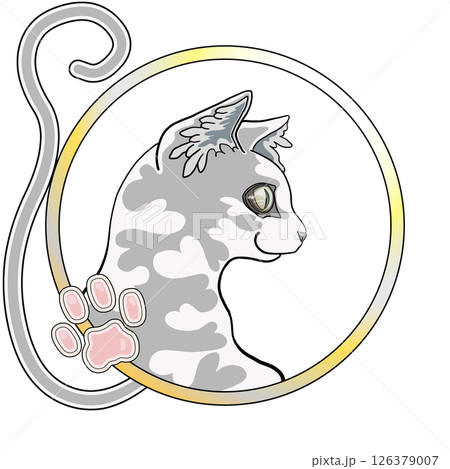 灰猫 126379007