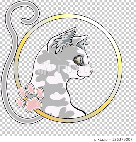 灰猫 126379007