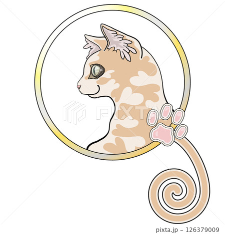 猫 猫 126379009