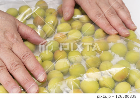小梅でカリカリ梅を作る工程 ジッパー付き袋に下処理した小梅と塩を入れて手で転がす　 126380839