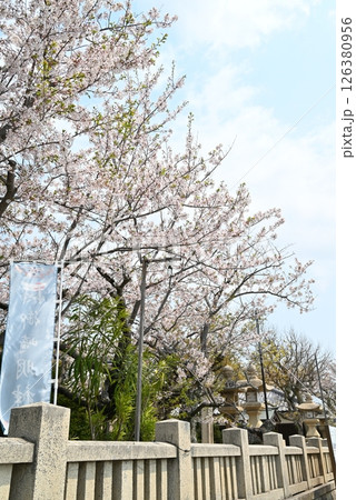 赤穂御崎の海の広がる風景 126380956