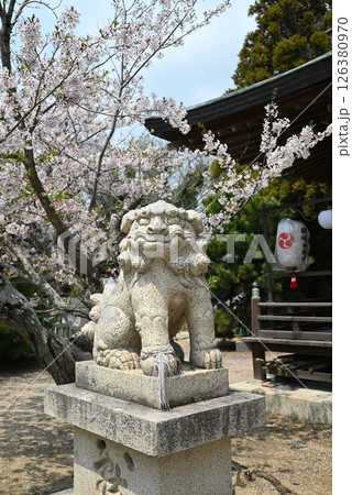 赤穂御崎の海の広がる風景 126380970