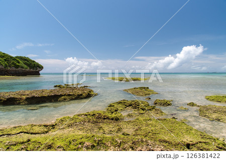 水平線のはっきりした天気の良い遠浅のエメラルドグリーンの海とゴツゴツした岩肌の海岸 126381422