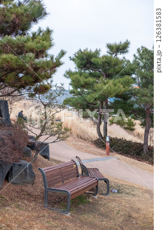 A bench with garden view of Heunginjimun park in Dongdaemun area of Seoul, South Korea. in Winter A bench with garden view of Heunginjimun park in Dongdaemun area of Seoul, South Korea. in Winter 126381583
