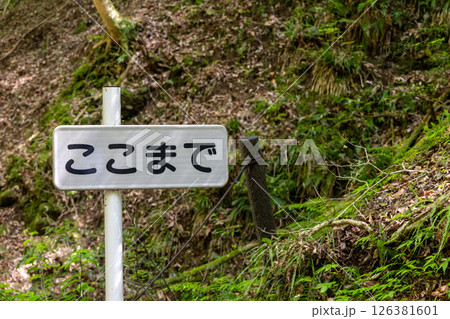 折れた立ち入り禁止の看板 折れた立ち入り禁止の看板 126381601