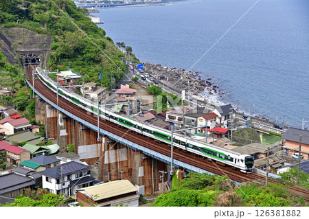 東海道本線　早川－根府川　JR東日本　E257系5000番台　OM-91編成（大宮）　踊り子 126381882