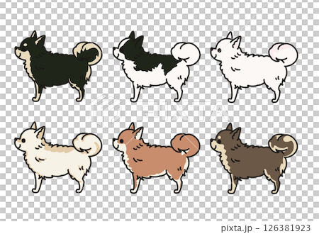 横から見た可愛いロングコートチワワのマルチカラーイラスト 126381923