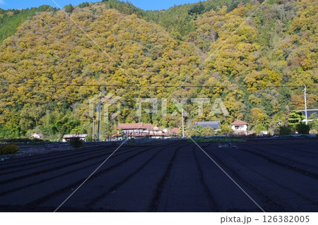 広島太田川と河畔の景色 126382005