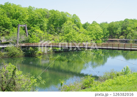 備北丘陵公園つどい橋の景色 126382016