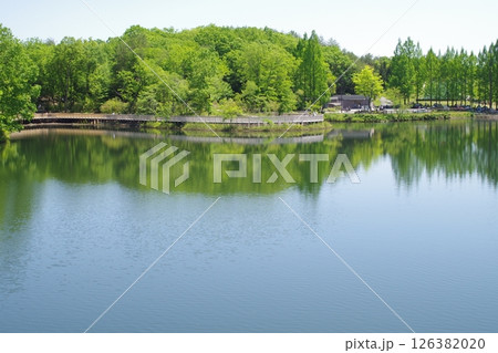 備北丘陵公園国兼池の景色 126382020