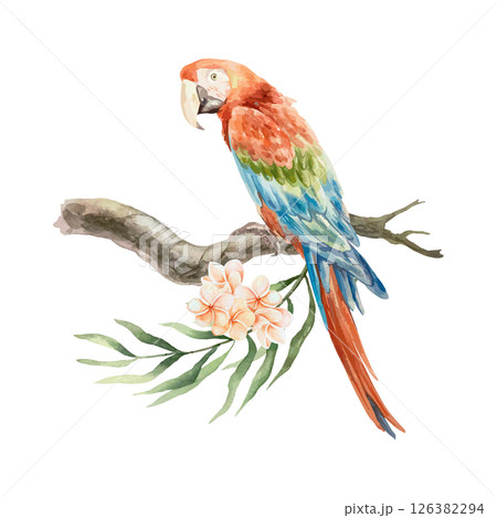 Macaw parrot sitting on a tropical branch with plumeria flowers, watercolor. Hand drawn vector illustration. For postcards, invitations, summer big banners, posters, labels. 126382294