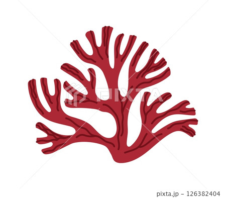 Coral or seaweed algae of sea and ocean kelp and marine plants, cartoon vector. Undersea or underwater plant of coral reef, actinia or tropical aquatic algae for marine pattern or seaweed decoration Coral or seaweed algae of sea and ocean kelp and marine plants, cartoon vector. Undersea or underwater plant of coral reef, actinia or tropical aquatic algae for marine pattern or seaweed decoration 126382404