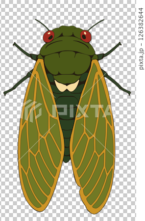 Cicada“AI 產生的圖像” 126382644