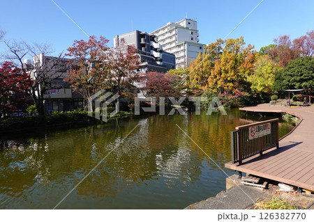 ひょうたん池　平和の森公園 126382770