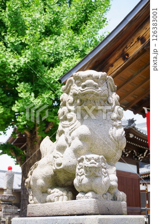 荒子観音　境内社　神明社のこま犬　尾張四観音 126383001