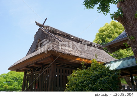 荒子観音　境内社　神明社の本殿　尾張四観音 126383004
