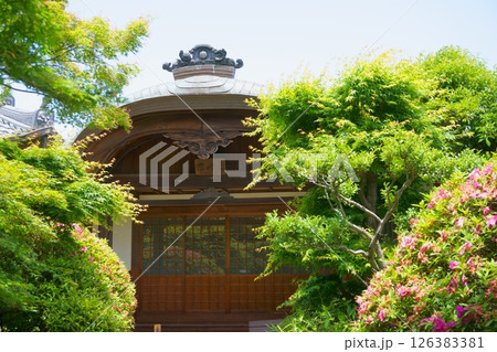 荒子観音 本坊 宮峰象 尾張四観音 荒子観音 本坊 宮峰象 尾張四観音 126383381
