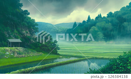 梅雨の雨が降る水田の風景、アニメ風 126384138