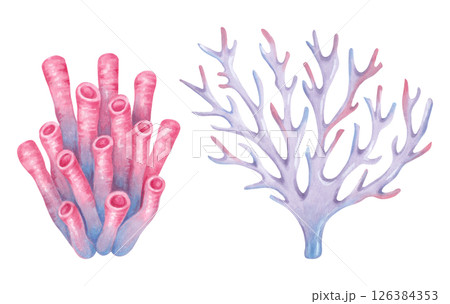 Set of branched, tube coral, sea sponge. Watercolor and marker illustrations. Ocean coral reefs, underwater animal of the seabed. Hand drawn isolated drawing. Clip art for the tourism industry 126384353
