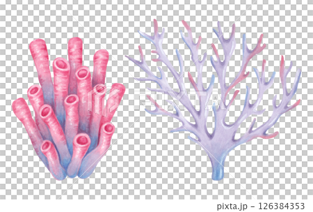 Set of branched, tube coral, sea sponge. Watercolor and marker illustrations. Ocean coral reefs, underwater animal of the seabed. Hand drawn isolated drawing. Clip art for the tourism industry 126384353