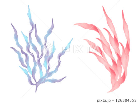 Blue, peach seaweed branch. Watercolor, marker illustration. Natural form of marine flora. Hand drawn isolated elements. Clip art of ocean botanical underwater plants for marine style design, cards Blue, peach seaweed branch. Watercolor, marker illustration. Natural form of marine flora. Hand drawn isolated elements. Clip art of ocean botanical underwater plants for marine style design, cards 126384355