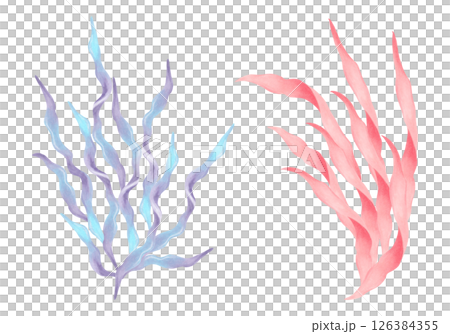 Blue, peach seaweed branch. Watercolor, marker illustration. Natural form of marine flora. Hand drawn isolated elements. Clip art of ocean botanical underwater plants for marine style design, cards Blue, peach seaweed branch. Watercolor, marker illustration. Natural form of marine flora. Hand drawn isolated elements. Clip art of ocean botanical underwater plants for marine style design, cards 126384355
