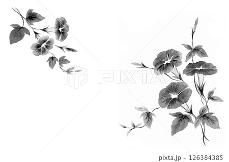 朝顔の水墨画 126384385