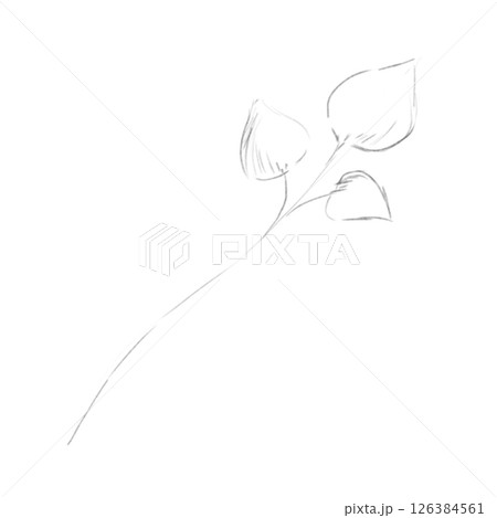 Sketch Branch with Leaves Hand Drawn, Black and White Illustration 126384561
