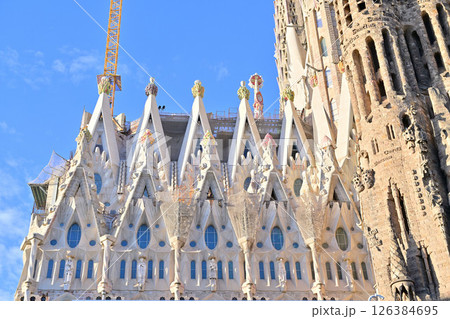 サグラダ・ファミリア大聖堂 126384695