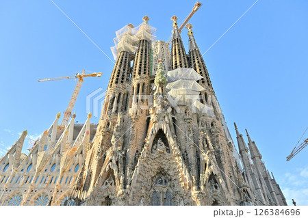 サグラダ・ファミリア大聖堂 126384696