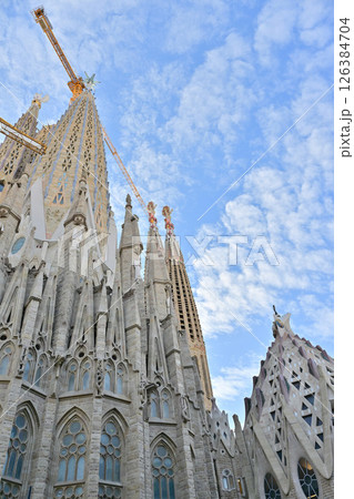 サグラダ・ファミリア大聖堂 126384704