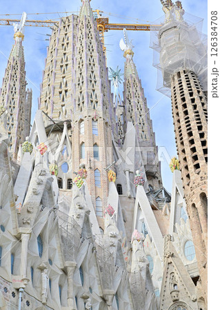 サグラダ・ファミリア大聖堂 126384708