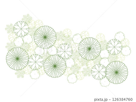 architecture drawing plant tree top view plan greenery vegetation vector. design nature architectural landscape set element illustration bush garden flora sapling minimal. architect isolated. 126384760