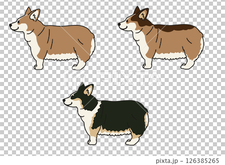 Multi-color illustration of a cute corgi seen from the side 126385265