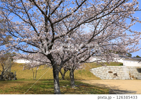 国史跡 赤穂城跡 国史跡 赤穂城跡 126385433