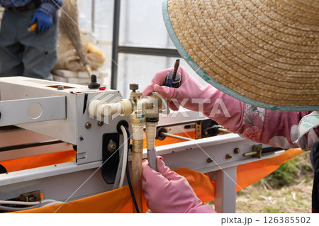 稲作育苗ハウスで種まき機よる種まき 設置作業 稲作育苗ハウスで種まき機よる種まき 設置作業 126385502