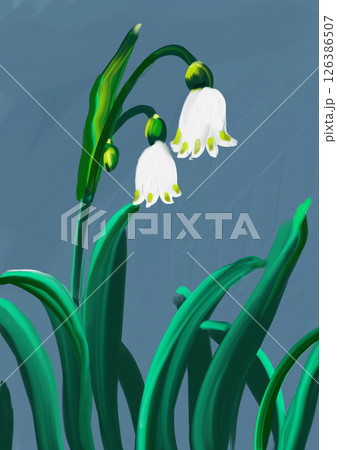 スノードロップの油絵 スノードロップの油絵 126386507