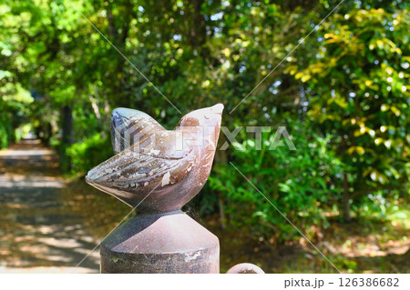 谷津干潟公園（千葉県習志野市） 126386682