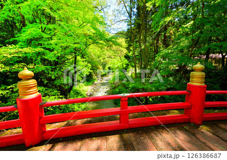 春の雲巌寺(栃木県大田原市) 春の雲巌寺(栃木県大田原市) 126386687