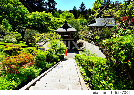 春の雲巌寺（栃木県大田原市） 126387006