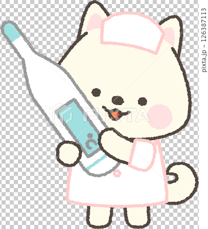 拿著溫度計的白色柴犬護士 126387113