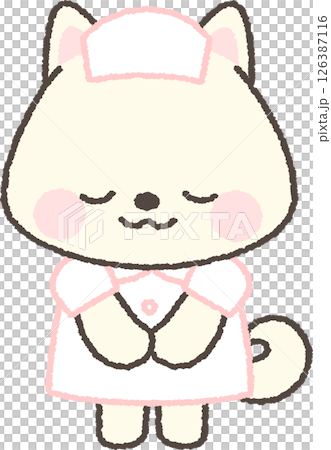 A white Shiba Inu nurse bowing A white Shiba Inu nurse bowing 126387116